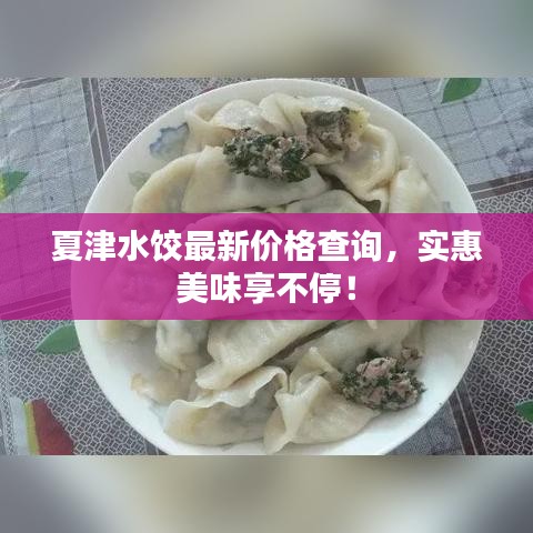 夏津水餃最新價格查詢，實惠美味享不停！