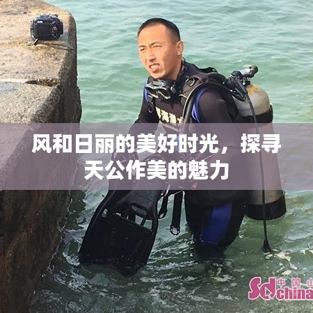 風和日麗的美好時光，探尋天公作美的魅力