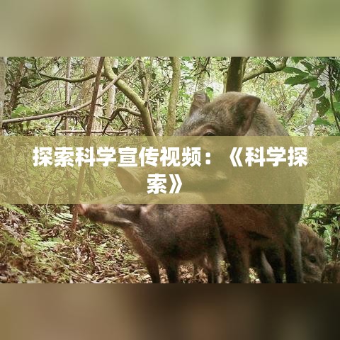 探索科學(xué)宣傳視頻:《科學(xué)探索》