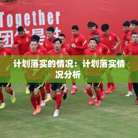 計劃落實的情況:計劃落實情況分析