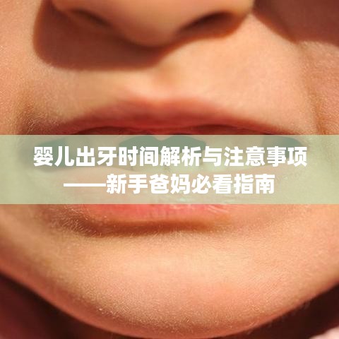 嬰兒出牙時間解析與注意事項——新手爸媽必看指南