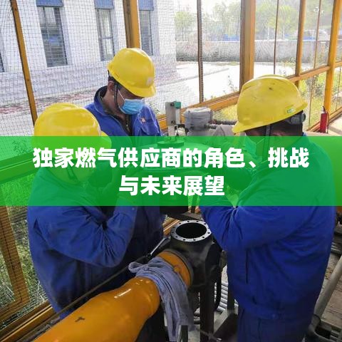 獨家燃氣供應商的角色、挑戰與未來展望