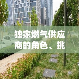 獨家燃氣供應商的角色、挑戰與未來展望