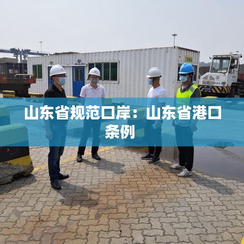 山東省規(guī)范口岸:山東省港口條例