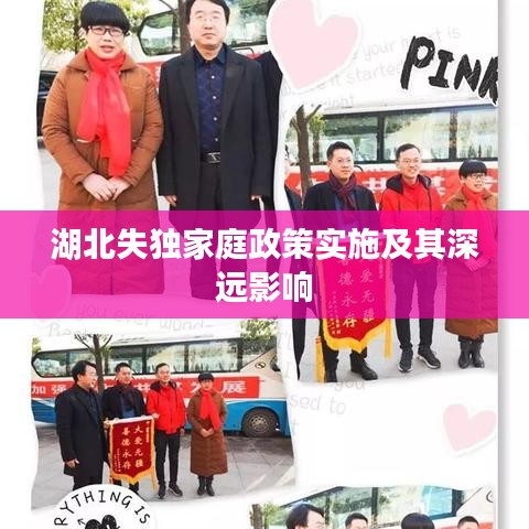 湖北失獨家庭政策實施及其深遠影響