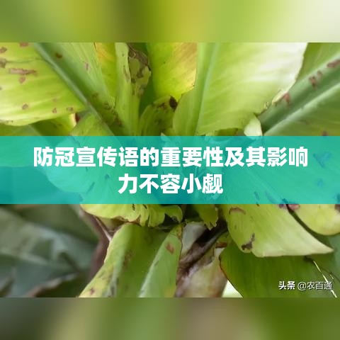 防冠宣傳語的重要性及其影響力不容小覷