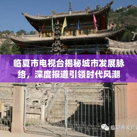 臨夏市電視臺揭秘城市發展脈絡,深度報道引領時代風潮