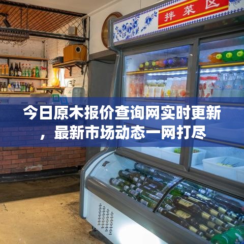 今日原木報價查詢網實時更新，最新市場動態一網打盡