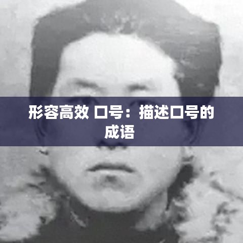 形容高效 口號:描述口號的成語