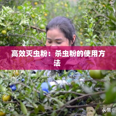 高效滅蟲粉:殺蟲粉的使用方法