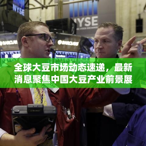 全球大豆市場動態速遞，最新消息聚焦中國大豆產業前景展望