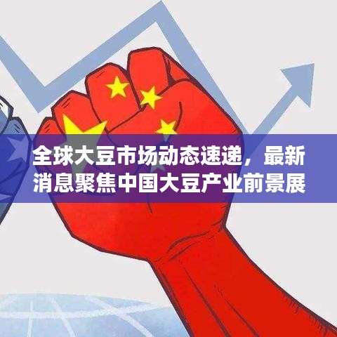 全球大豆市場動態速遞,最新消息聚焦中國大豆產業前景展望