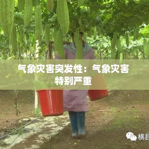 氣象災害突發性：氣象災害 特別嚴重 
