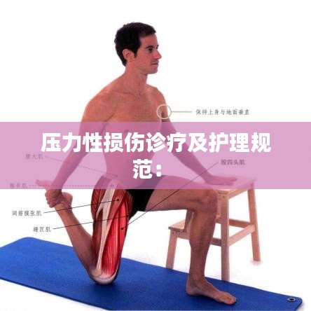 壓力性損傷診療及護理規范： 