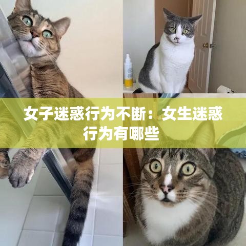 女子迷惑行為不斷:女生迷惑行為有哪些