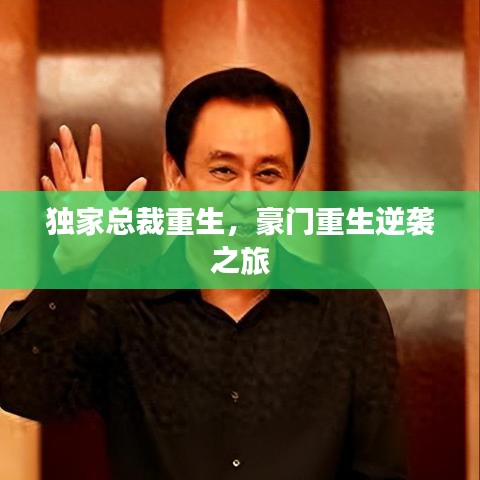獨家總裁重生，豪門重生逆襲之旅
