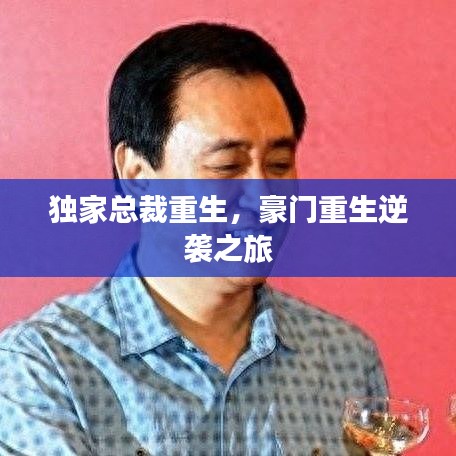 獨家總裁重生,豪門重生逆襲之旅