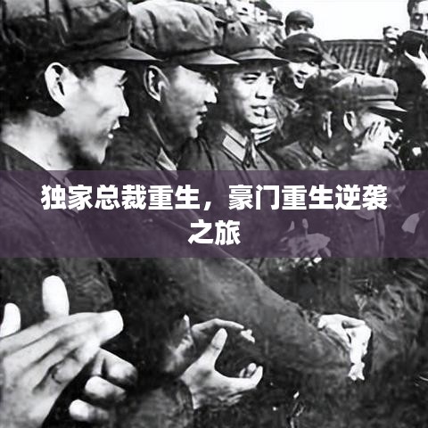 獨家總裁重生,豪門重生逆襲之旅