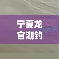 寧夏龍宮湖釣魚秘籍，最新攻略全解析！