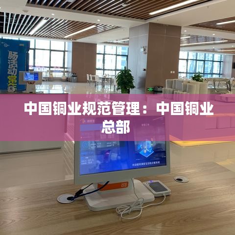 中國銅業規范管理：中國銅業總部 