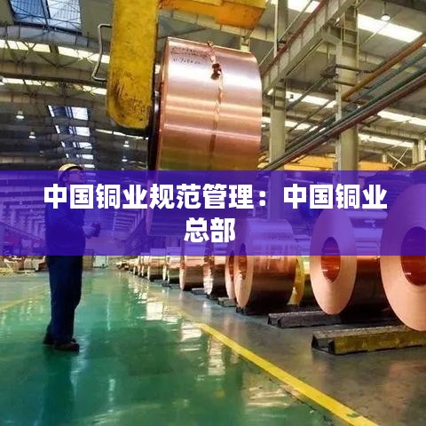中國銅業規范管理:中國銅業總部