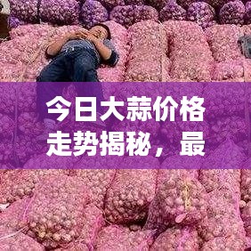 今日大蒜價格走勢揭秘，最新消息、市場分析及影響因素一網打盡