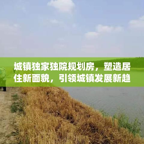 城鎮獨家獨院規劃房,塑造居住新面貌,引領城鎮發展新趨勢