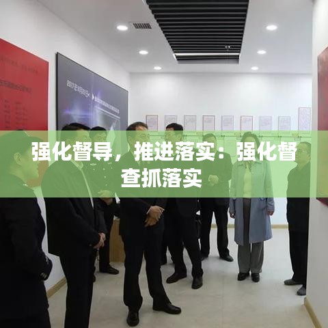 強化督導,推進落實:強化督查抓落實