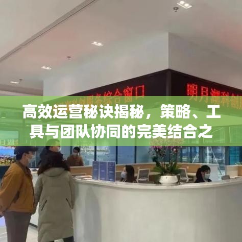 高效運營秘訣揭秘，策略、工具與團隊協同的完美結合之道