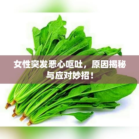 女性突發(fā)惡心嘔吐，原因揭秘與應(yīng)對妙招！