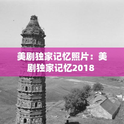 美劇獨家記憶照片:美劇獨家記憶2018