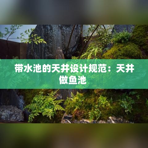 帶水池的天井設計規范：天井做魚池 