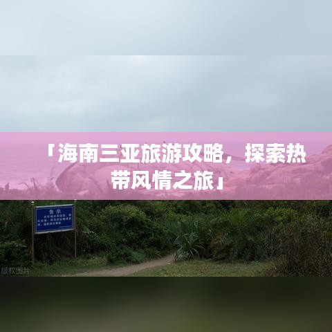 「海南三亞旅游攻略,探索熱帶風情之旅」