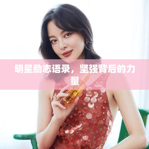 明星勵志語錄，堅強背后的力量