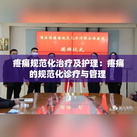 疼痛規(guī)范化治療及護(hù)理:疼痛的規(guī)范化診療與管理