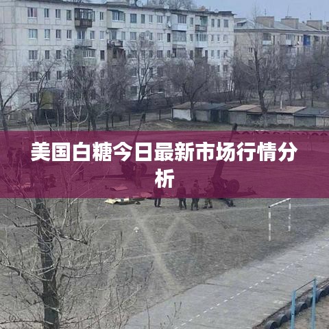 美國白糖今日最新市場行情分析