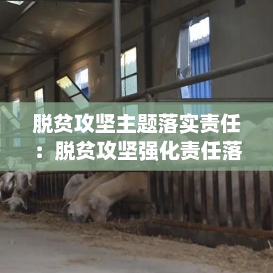 脫貧攻堅主題落實責任：脫貧攻堅強化責任落實 