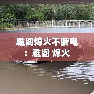 雅閣熄火不斷電:雅閣 熄火