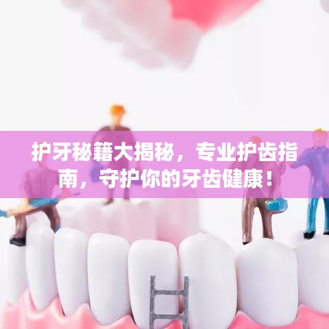 護牙秘籍大揭秘，專業護齒指南，守護你的牙齒健康！