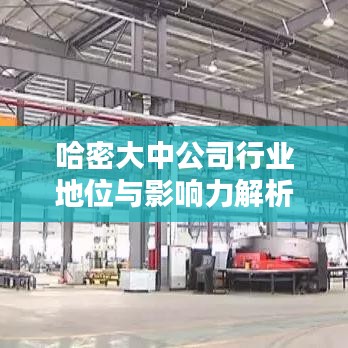 哈密大中公司行業(yè)地位與影響力解析，排名及影響力揭秘
