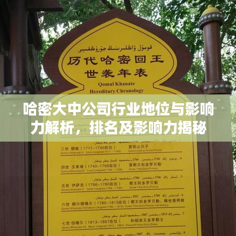 哈密大中公司行業(yè)地位與影響力解析,排名及影響力揭秘