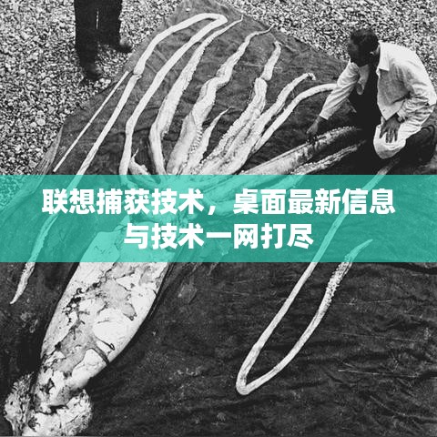 聯(lián)想捕獲技術(shù)，桌面最新信息與技術(shù)一網(wǎng)打盡