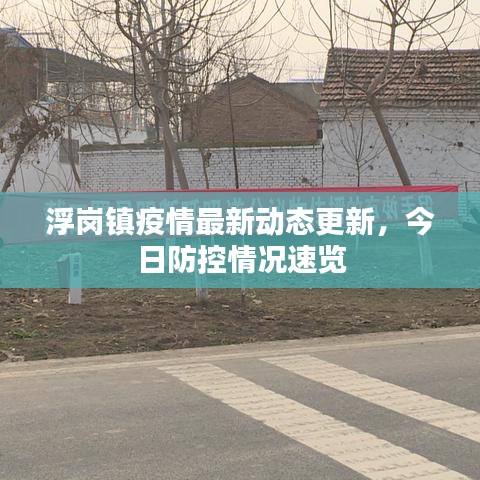 浮崗鎮(zhèn)疫情最新動態(tài)更新,今日防控情況速覽