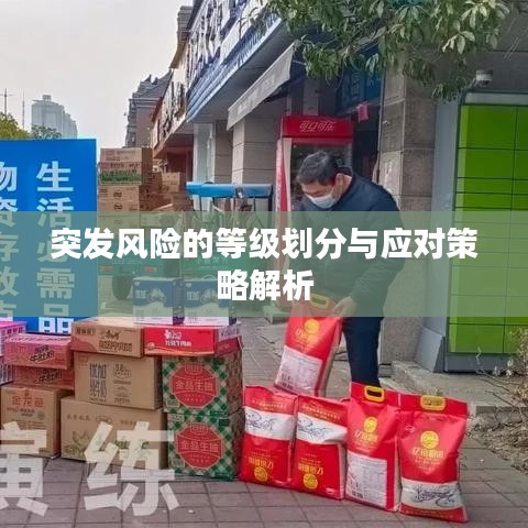突發(fā)風險的等級劃分與應對策略解析