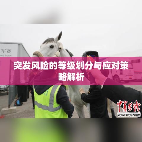 突發風險的等級劃分與應對策略解析