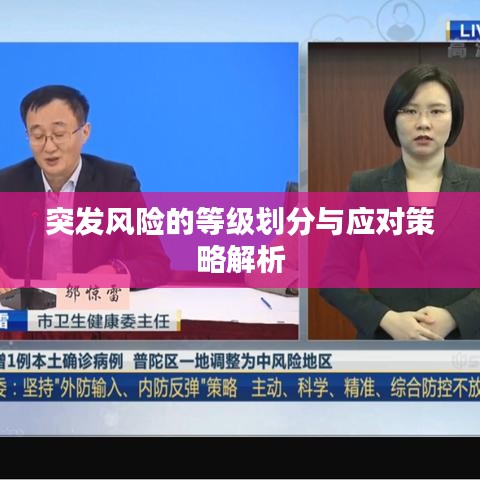 突發風險的等級劃分與應對策略解析