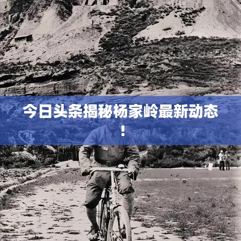 今日頭條揭秘楊家嶺最新動態!