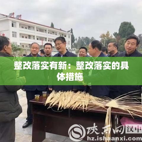 整改落實有新:整改落實的具體措施