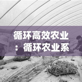 循環高效農業:循環農業系統