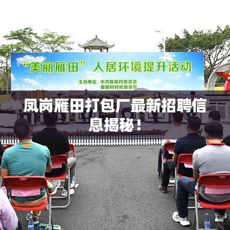 鳳崗雁田打包廠最新招聘信息揭秘！